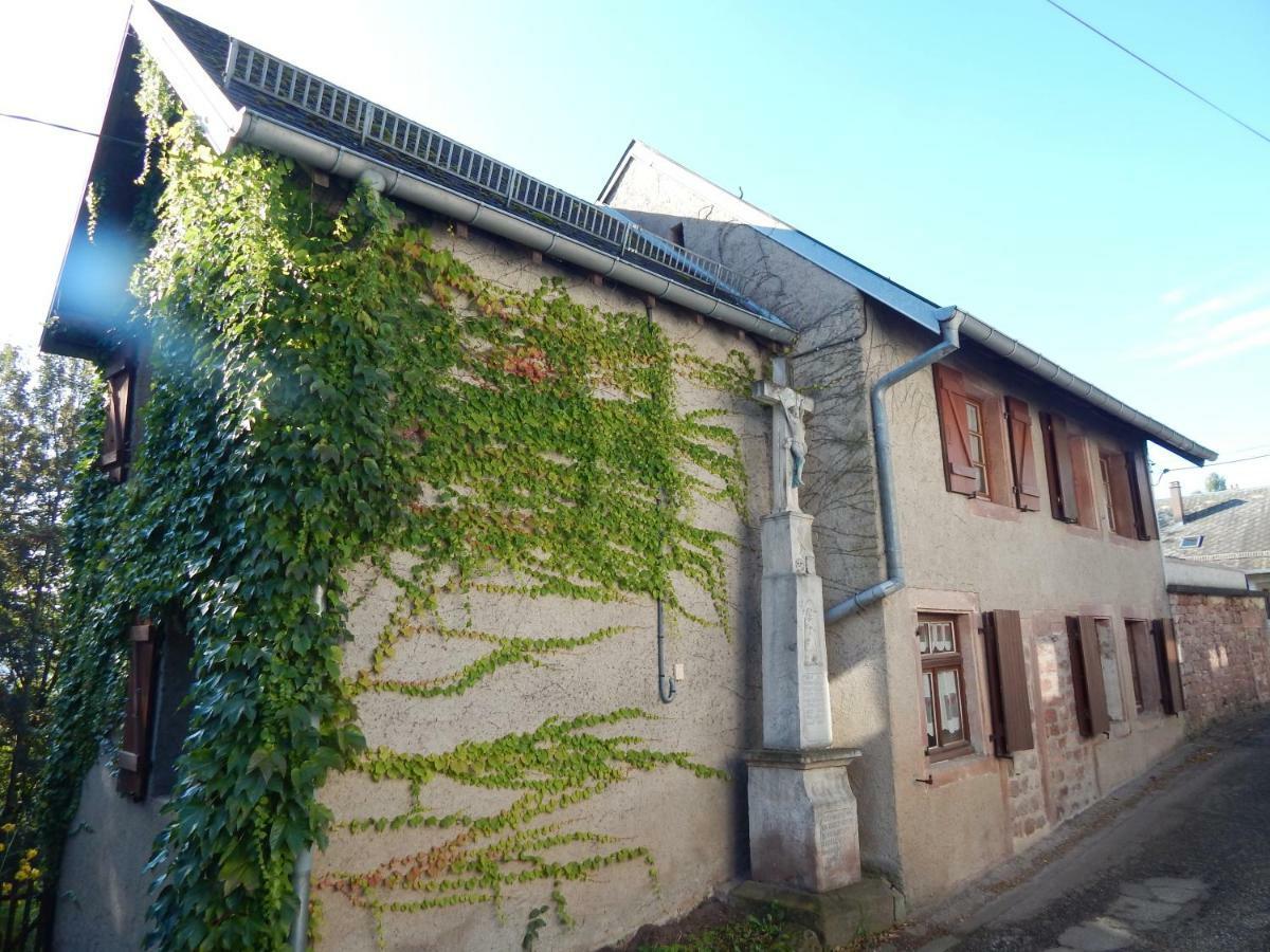 Villa Le Petit Biscuit Dabo Exterior foto